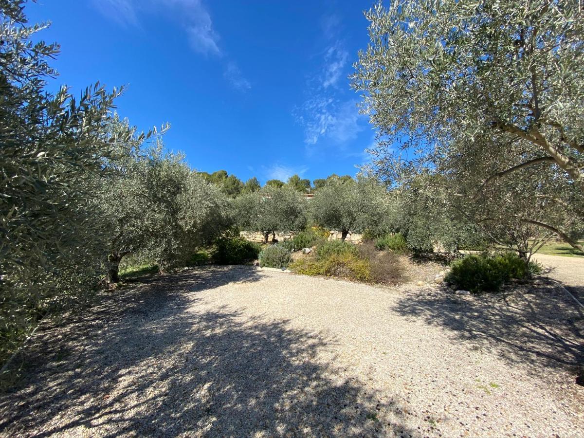 Gite La Maison Dans L'Olivette Oraison Exteriér fotografie