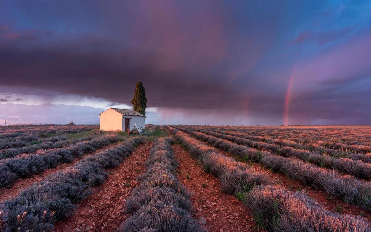Gite La Maison Dans L'Olivette Oraison Exteriér fotografie