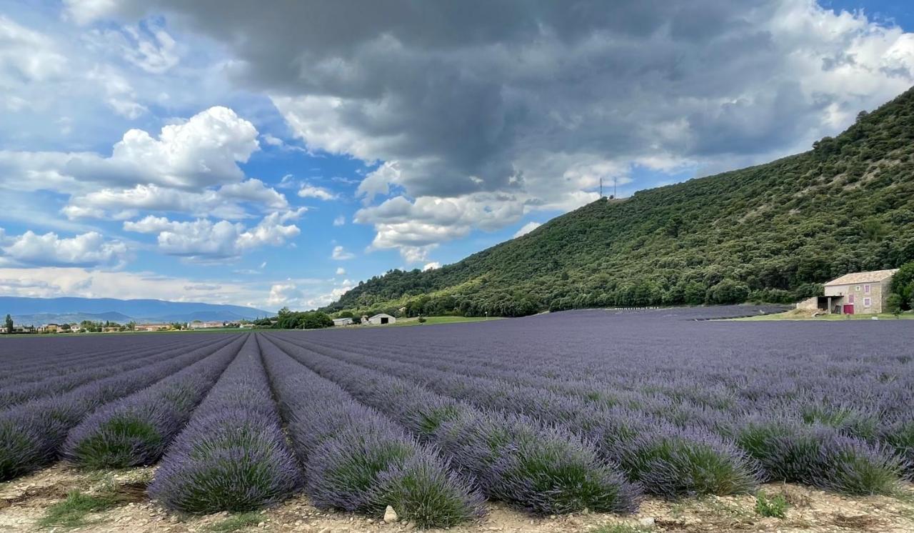Gite La Maison Dans L'Olivette Oraison Exteriér fotografie